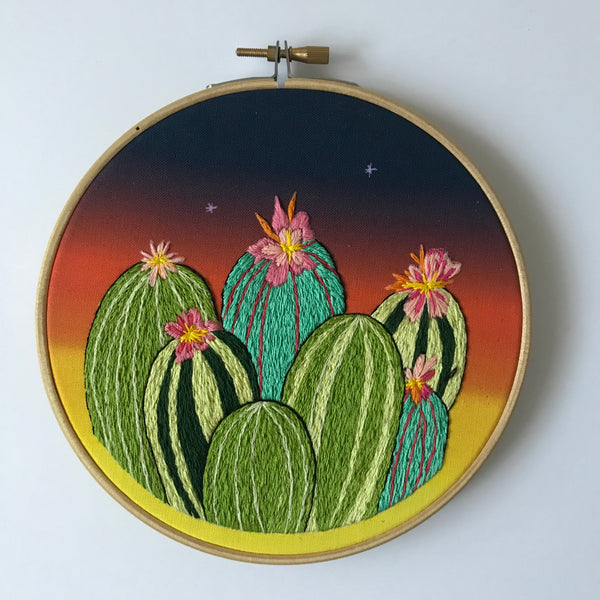 Dreaming Of Arizona Embroidery Kit