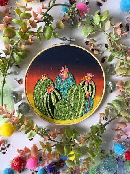 Dreaming Of Arizona Embroidery Kit